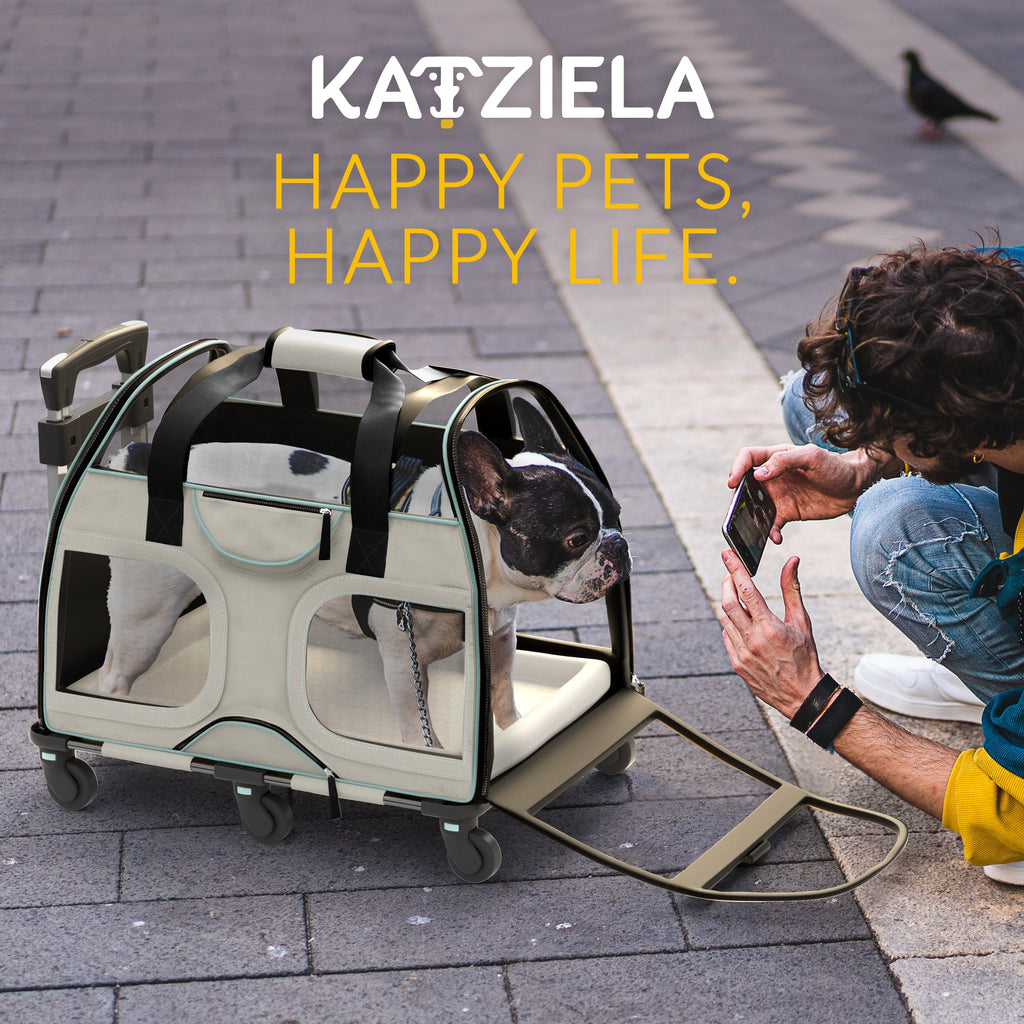 Luxury Rider Pet Carrier with Removable Wheels and Telescopic Handle